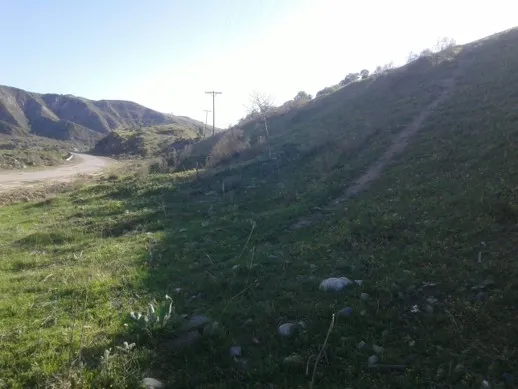 Çelik Koruge Resim 13